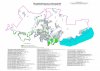 Карта рекреационных зон и зеленых насаждений муниципального образования город Краснодар 